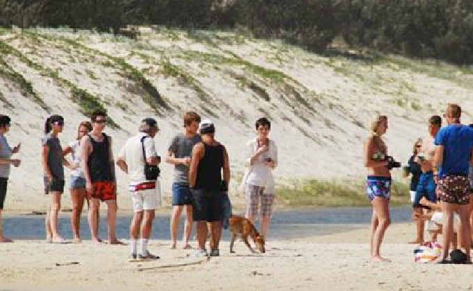 Tourists surround a dingo on Fraser Island. Tourists surround a dingo on Fraser Island.